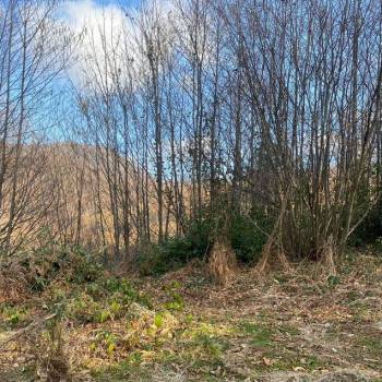 Продается Участок, 500 м²