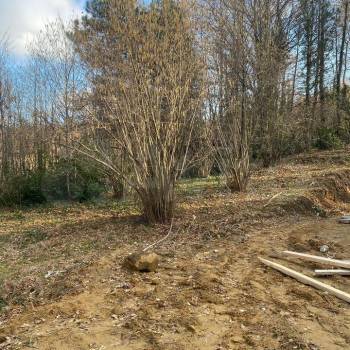 Продается Участок, 500 м²