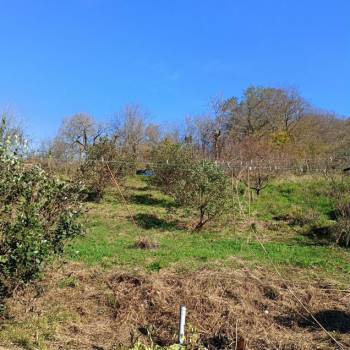 Продается Участок, 2700 м²