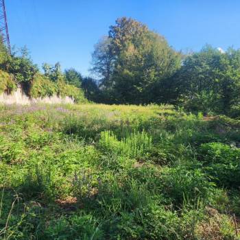 Продается Участок, 770 м²