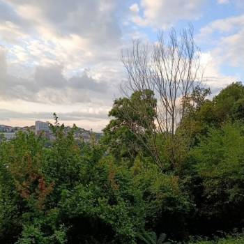 Продается Участок, 530 м²