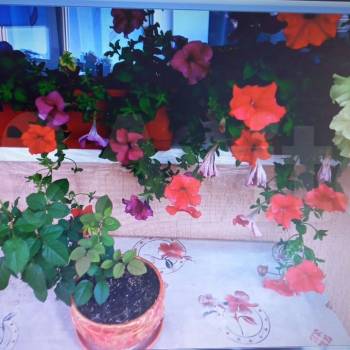 Продается 2-х комнатная квартира, 44 м²