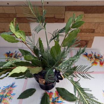 Продается 2-х комнатная квартира, 44 м²