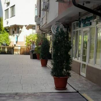 Сдается 1-комнатная квартира, 29,8 м²