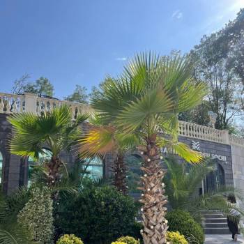 Продается 1-комнатная квартира, 24,9 м²