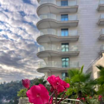 Продается 1-комнатная квартира, 24,9 м²