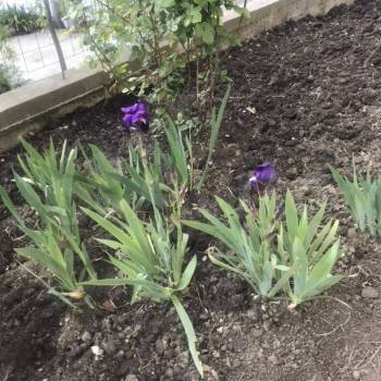 Сдается Комната, 17 м²