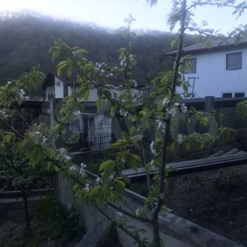 Сдается Комната, 17 м²