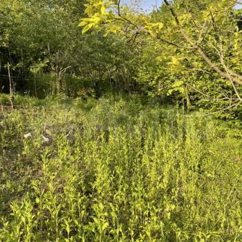 Продается Участок, 1600 м²