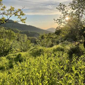 Продается Участок, 1600 м²