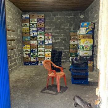 Сдается Нежилое помещение, 25 м²