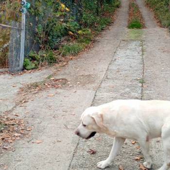 Продается Дом, 65 м²