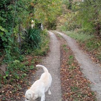 Продается Дом, 65 м²