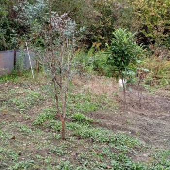 Продается Дом, 65 м²