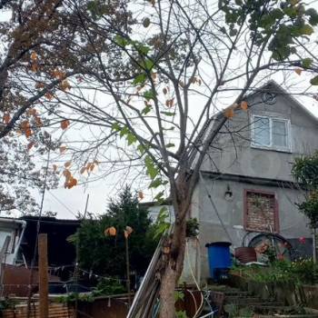 Продается Дом, 65 м²