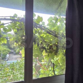 Сдается 2-х комнатная квартира, 55 м²