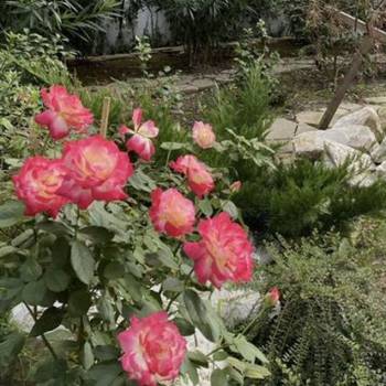 Продается 1-комнатная квартира, 37,1 м²