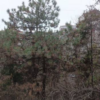 Продается 2-х комнатная квартира, 48,9 м²