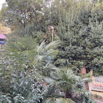 Продается 1-комнатная квартира, 33 м²