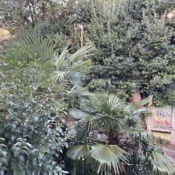 Продается 1-комнатная квартира, 42 м²