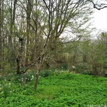 Продается Участок, 500 м²