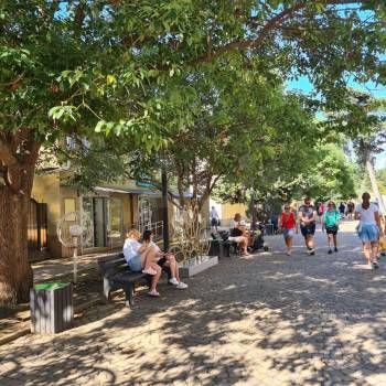 Сдается Нежилое помещение, 52 м²