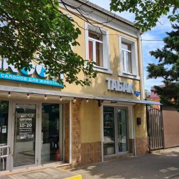 Сдается Нежилое помещение, 52 м²