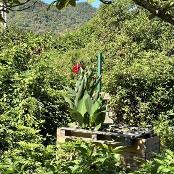 Продается Участок, 400 м²