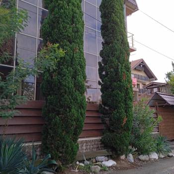 Сдается 1-комнатная квартира, 18 м²