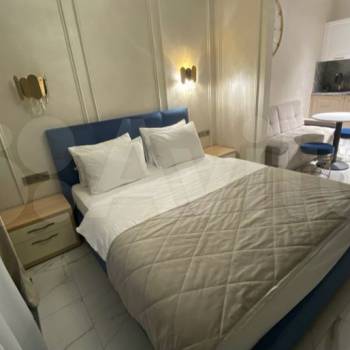 Сдается 1-комнатная квартира, 26,5 м²