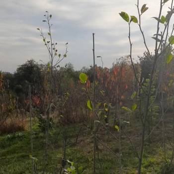 Продается Участок, 1400 м²