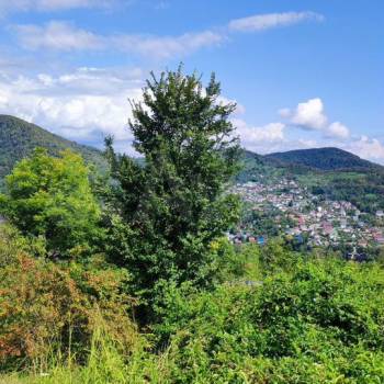 Продается Участок, 820 м²