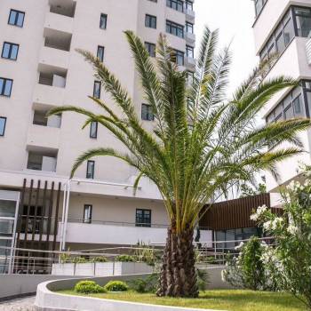 Сдается 1-комнатная квартира, 45,6 м²