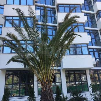 Сдается 1-комнатная квартира, 45,6 м²