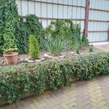 Сдается Комната, 22 м²