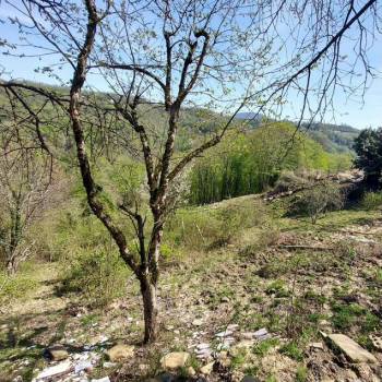 Продается Участок, 1000 м²