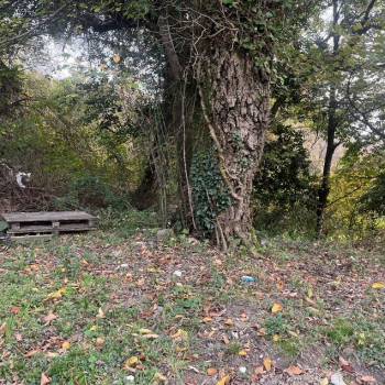 Продается Участок, 600 м²