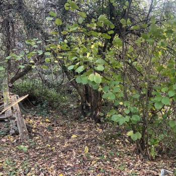 Продается Участок, 600 м²