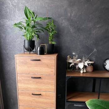 Сдается 1-комнатная квартира, 24,8 м²