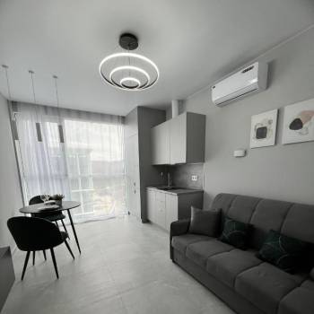 Сдается 1-комнатная квартира, 24,1 м²