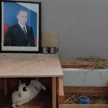 Продается 1-комнатная квартира, 30,9 м²