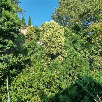 Продается 2-х комнатная квартира, 40,7 м²