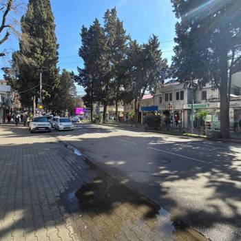 Сдается Нежилое помещение, 49,4 м²