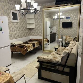 Сдается 1-комнатная квартира, 22,5 м²