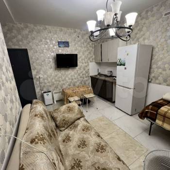 Сдается 1-комнатная квартира, 22,5 м²