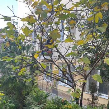 Продается 1-комнатная квартира, 19,6 м²