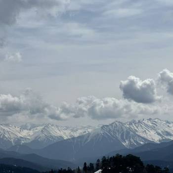 Продается Участок, 2990 м²