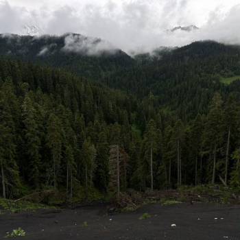 Продается Участок, 2990 м²