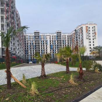 Продается 1-комнатная квартира, 25,7 м²