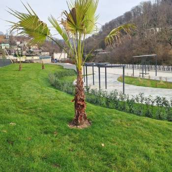 Продается 1-комнатная квартира, 25,7 м²